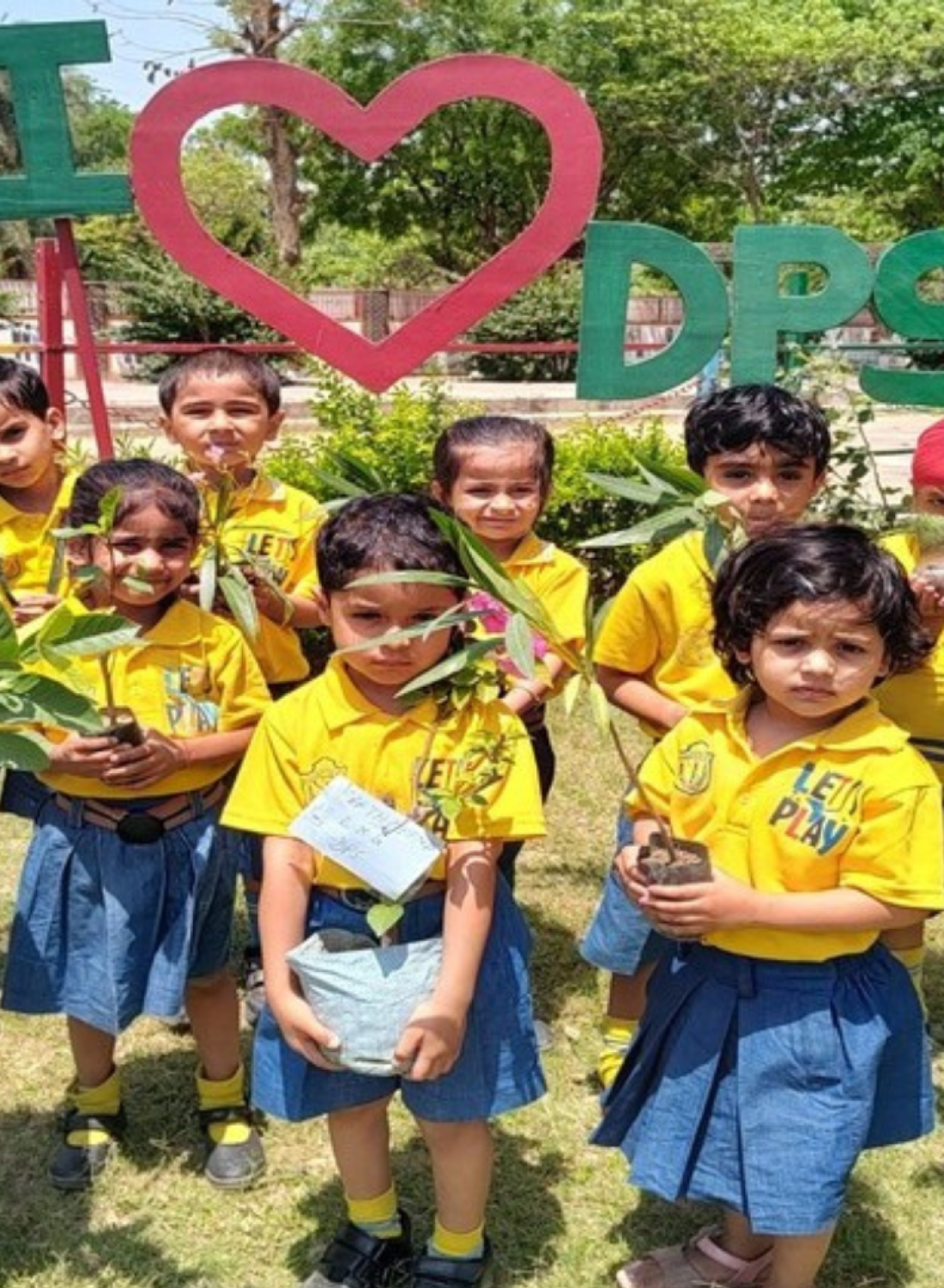 primary-dps primary-dps